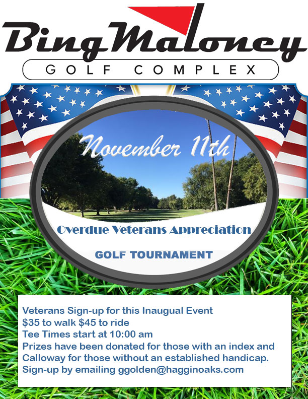 Veterans Day Golf Tournament Flyer